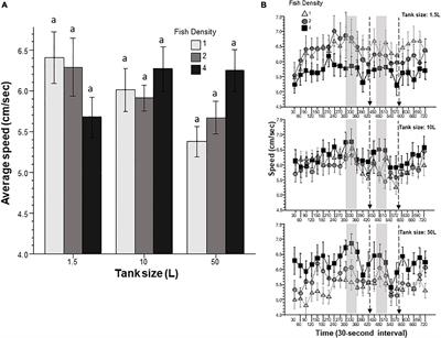 The effect of fish density and tank size on the behavior of adult zebrafish: A systematic analysis